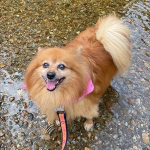 Meet your Posher, Marie